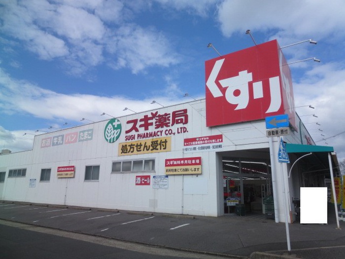 ドラックストア　スギ薬局宝神店（ドラッグストア）まで451m