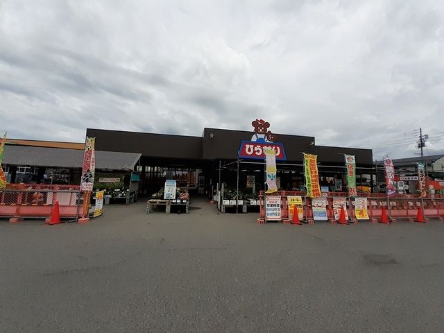 ホームセンター　ひらせいホームセンター村松店（ホームセンター）まで550m