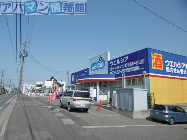 ドラックストア　ウエルシア薬局新潟東中野山店（ドラッグストア）まで267m