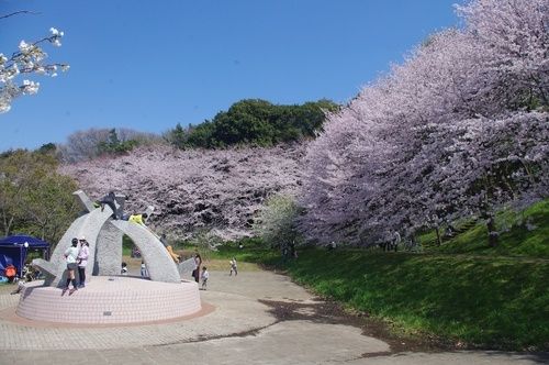 公園　長津川緑地（公園）まで1010m