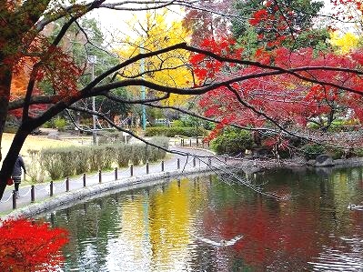 公園　区立蚕糸の森公園（公園）まで557m