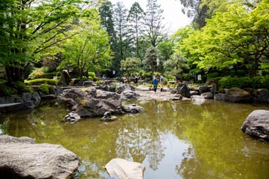 公園　浦和北公園（公園）まで318m