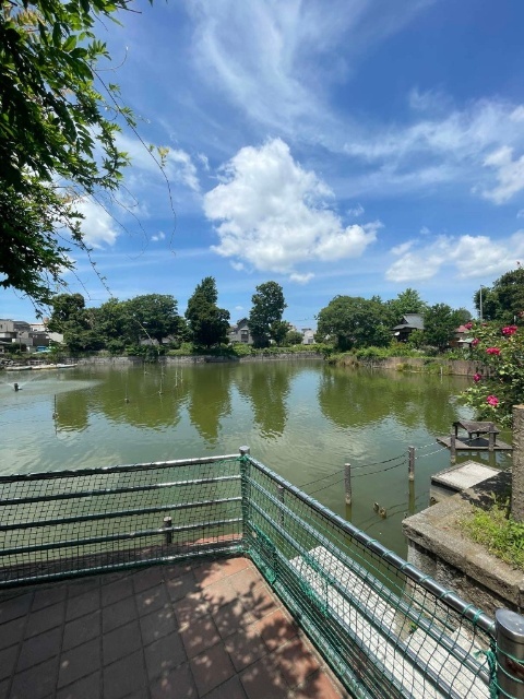 公園　碑文谷公園（公園）まで500m