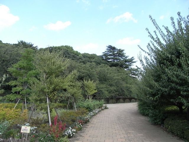 公園　哲学堂公園（公園）まで1000m