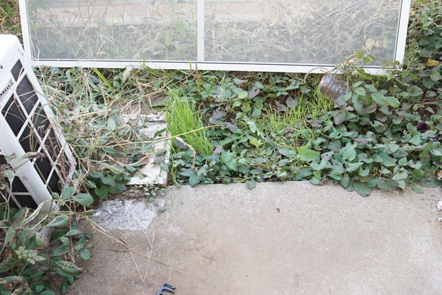 眺望　同物件別部屋写真（実際は現況を優先致します。）
