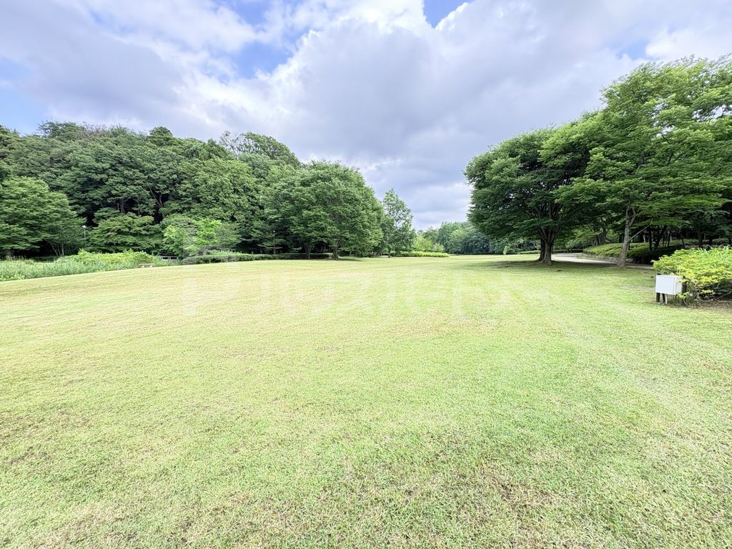 公園　21世紀の森と広場（公園）まで920m