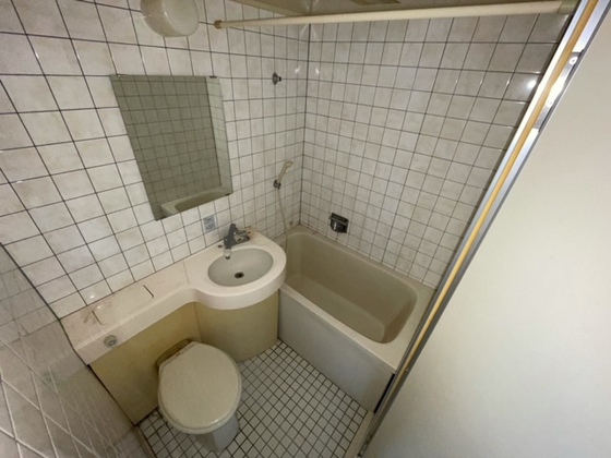 バス・シャワールーム　※別部屋の写真です