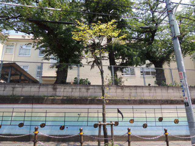 中学校　赤塚第三中学校（中学校）まで348m