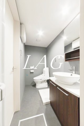 ＪＲ総武線 本八幡駅 徒歩15分 2階建 築12年のトイレ写真