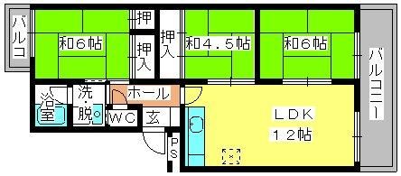 メゾン川上の間取り