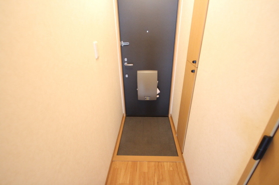 玄関　※別号室の写真です。