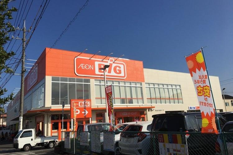 スーパー　ザ・ビック岩国店（スーパー）まで175m