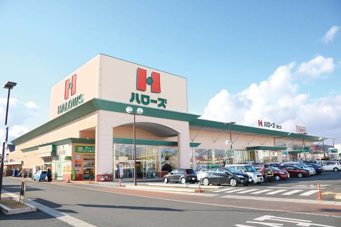 スーパー　ハローズ総社店（スーパー）まで1338m