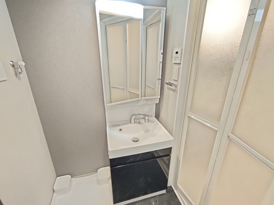 洗面設備　別部屋の写真