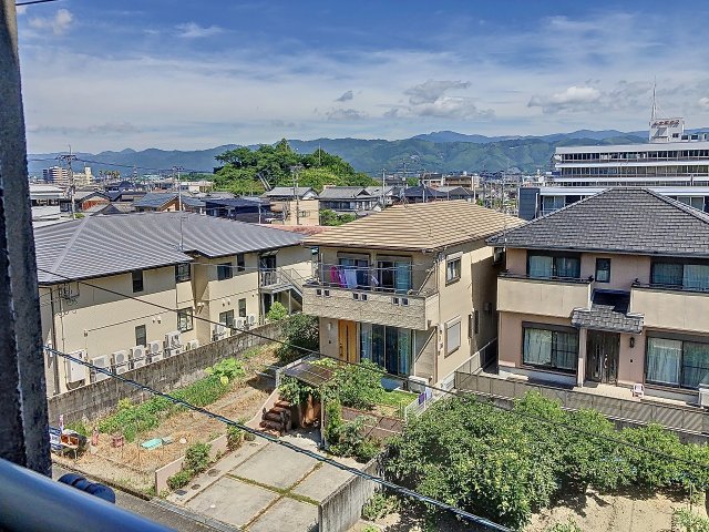 眺望　2024年7月撮影※現況を優先致します。