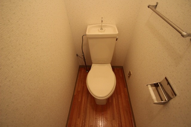 トイレ　同物件、別号室のものです。