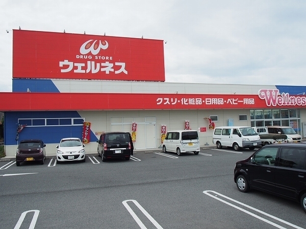 ドラックストア　ウェルネス安来店（ドラッグストア）まで1200m