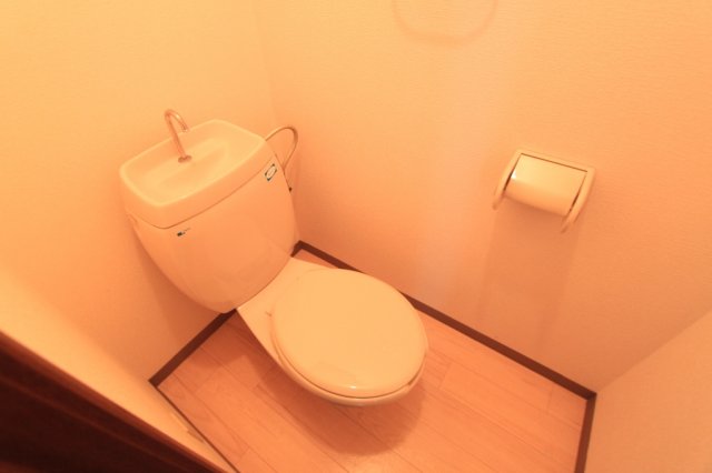 トイレ　トイレも気になるポイント