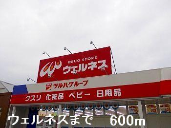 アンジュTのその他写真