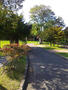 公園　前田西公園（公園）まで2000m