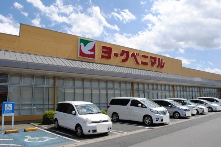 スーパー　（株）ヨークベニマル／石井店（スーパー）まで568m