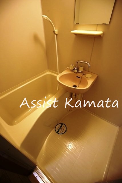 バス・シャワールーム　写真は同タイプの別号室です