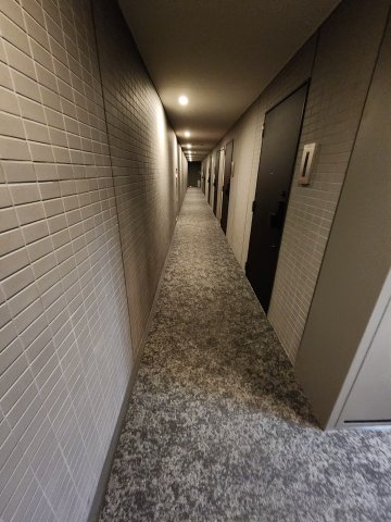 その他　SYFORME KANNAIII