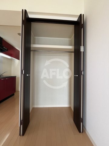 収納　エクセレント上新20　クローゼット