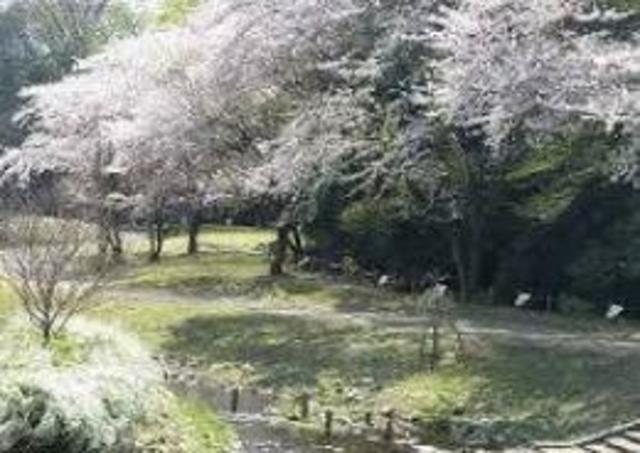 公園　下溝古山公園（公園）まで1395m