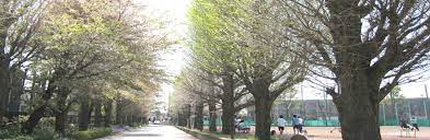 高校・高専　東京都立豊多摩高校（高校・高専）まで1154m