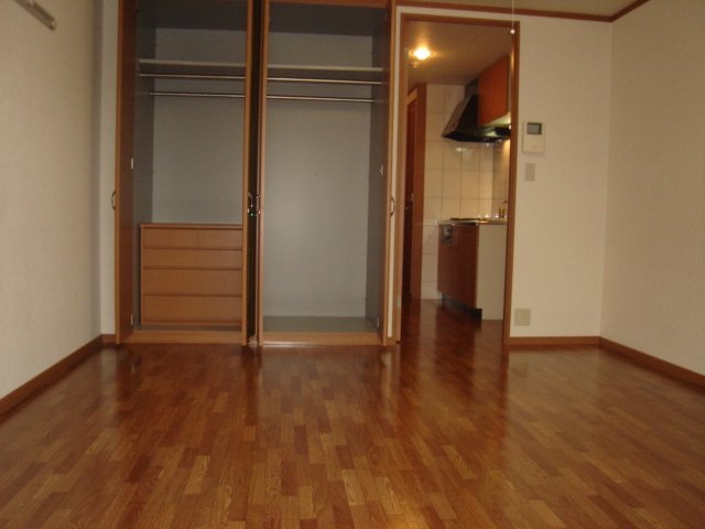 収納　洋室(収納家具)