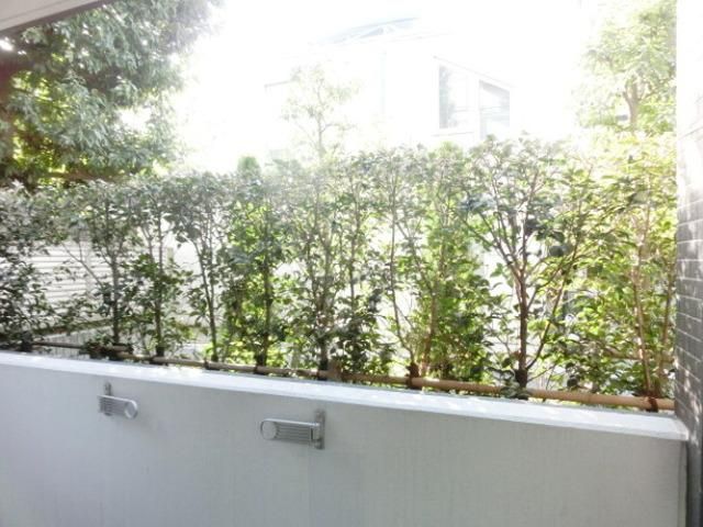 眺望　景色