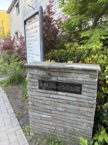 公園　淵野辺しょうぶ公園（公園）まで245m