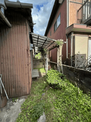 庭