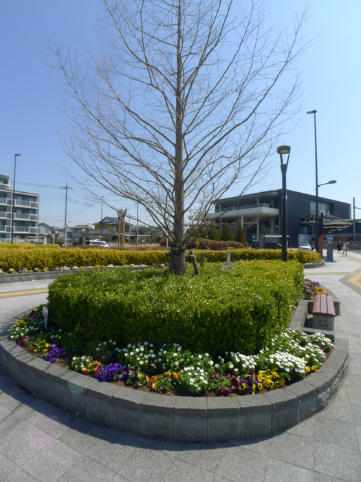 役所　指扇駅（役所）まで250m