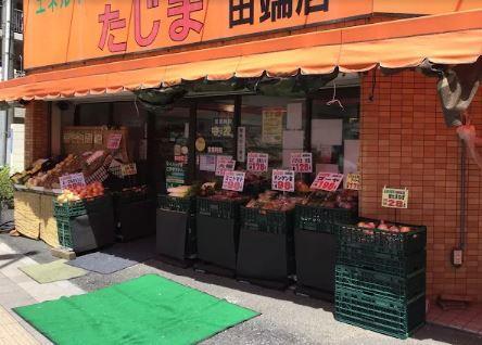 スーパー　エネルギースーパーたじま田端店（スーパー）まで239m