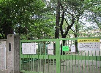 小学校　杉並区立桃井第一小学校（小学校）まで619m