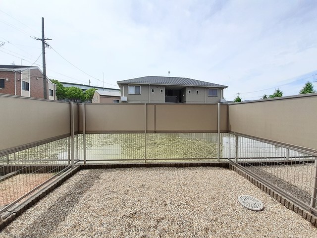 庭