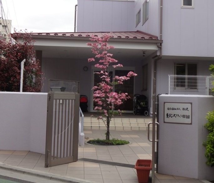 幼稚園・保育園　東北沢ききょう保育園（幼稚園・保育園）まで433m