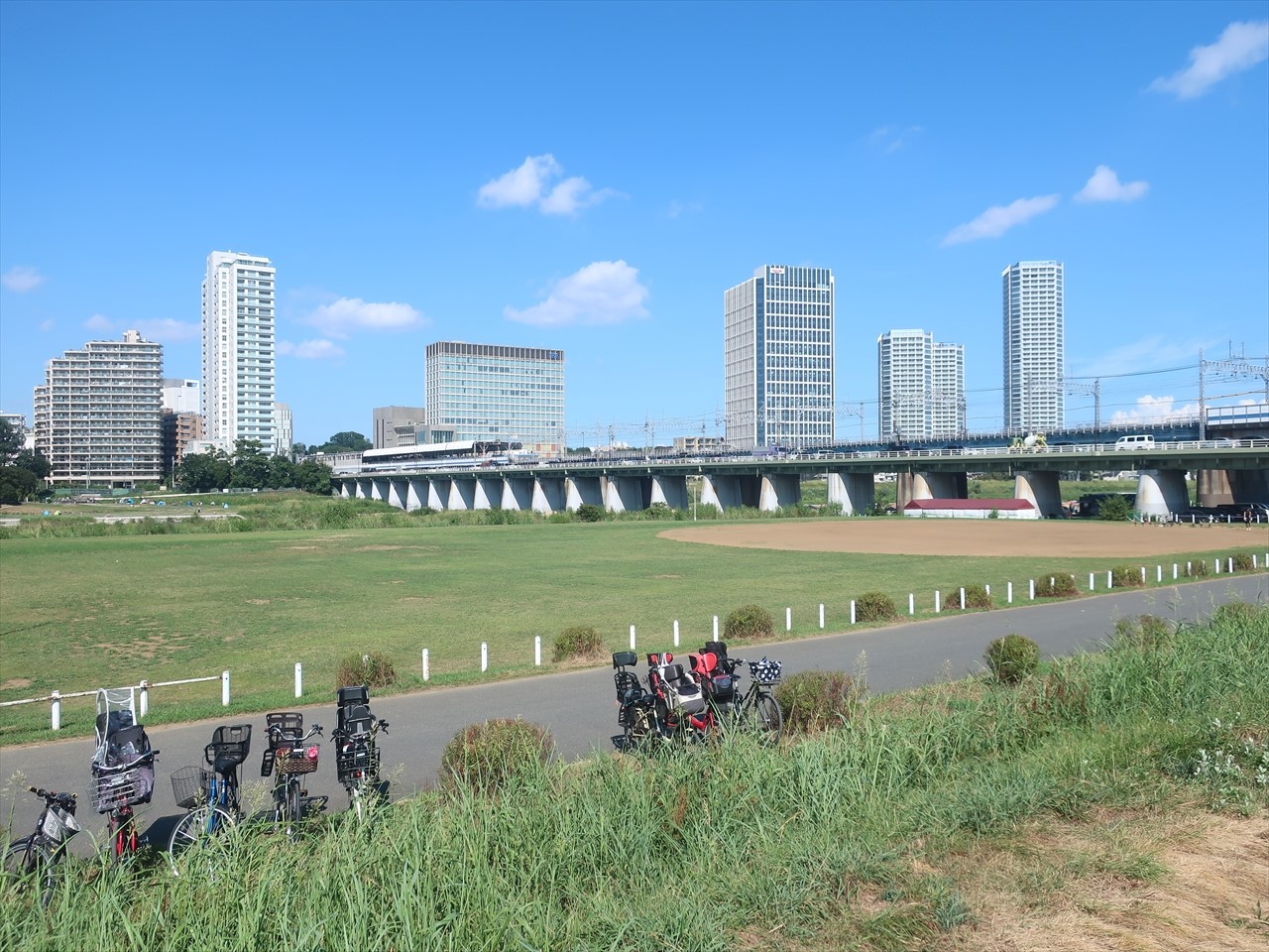 その他　多摩川緑地（その他）まで300m
