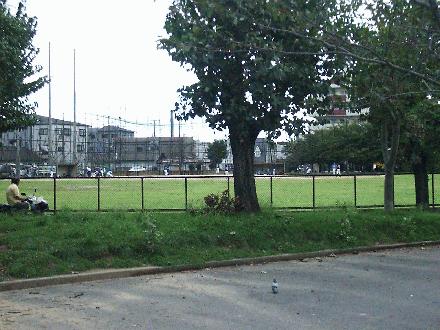 公園　金岡公園（公園）まで710m