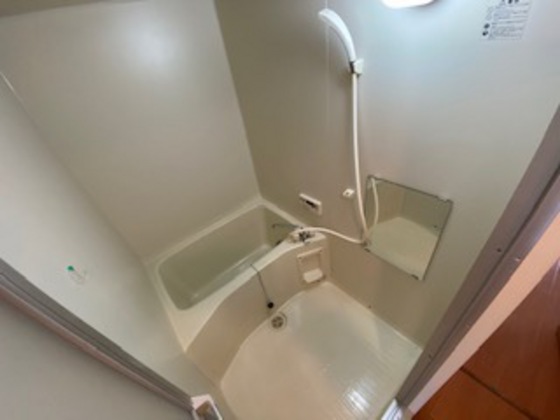 バス・シャワールーム　※別部屋の写真です