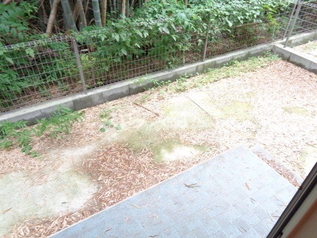 庭