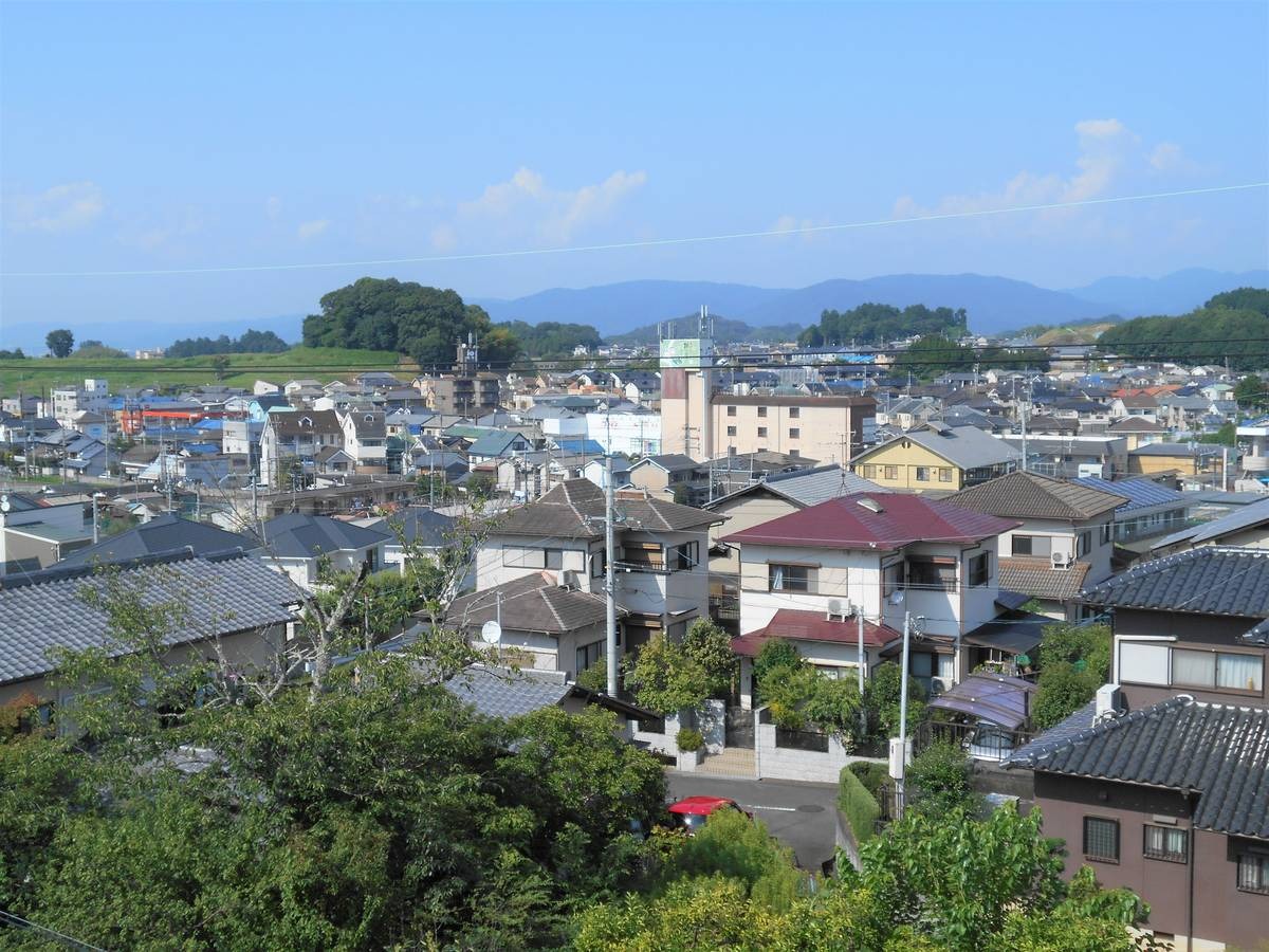 近鉄吉野線 岡寺駅 徒歩5分 4階建 築63年のその他写真