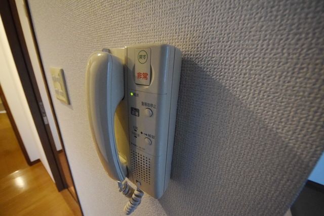 スターフラッツのその他写真