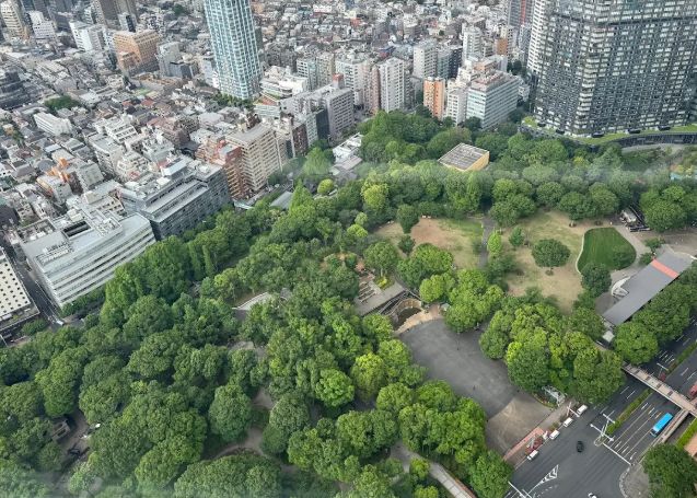 公園　新宿中央公園（公園）まで268m
