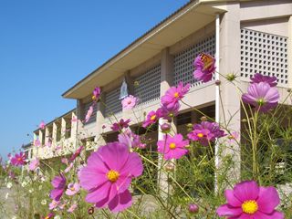 【木津川市梅美台のマンションの小学校】