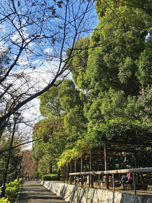 公園　江戸川公園（公園）まで560m