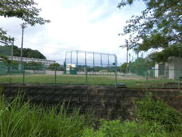 小学校　桜木小学校（小学校）まで1026m