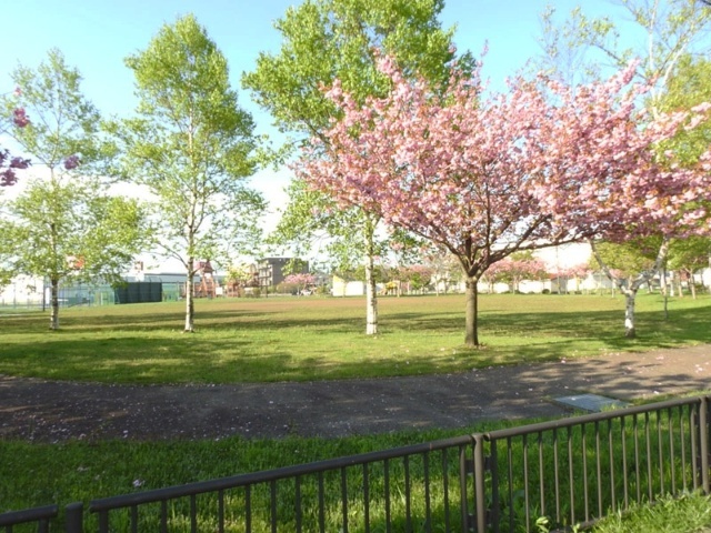 公園　富岸公園（公園）まで423m